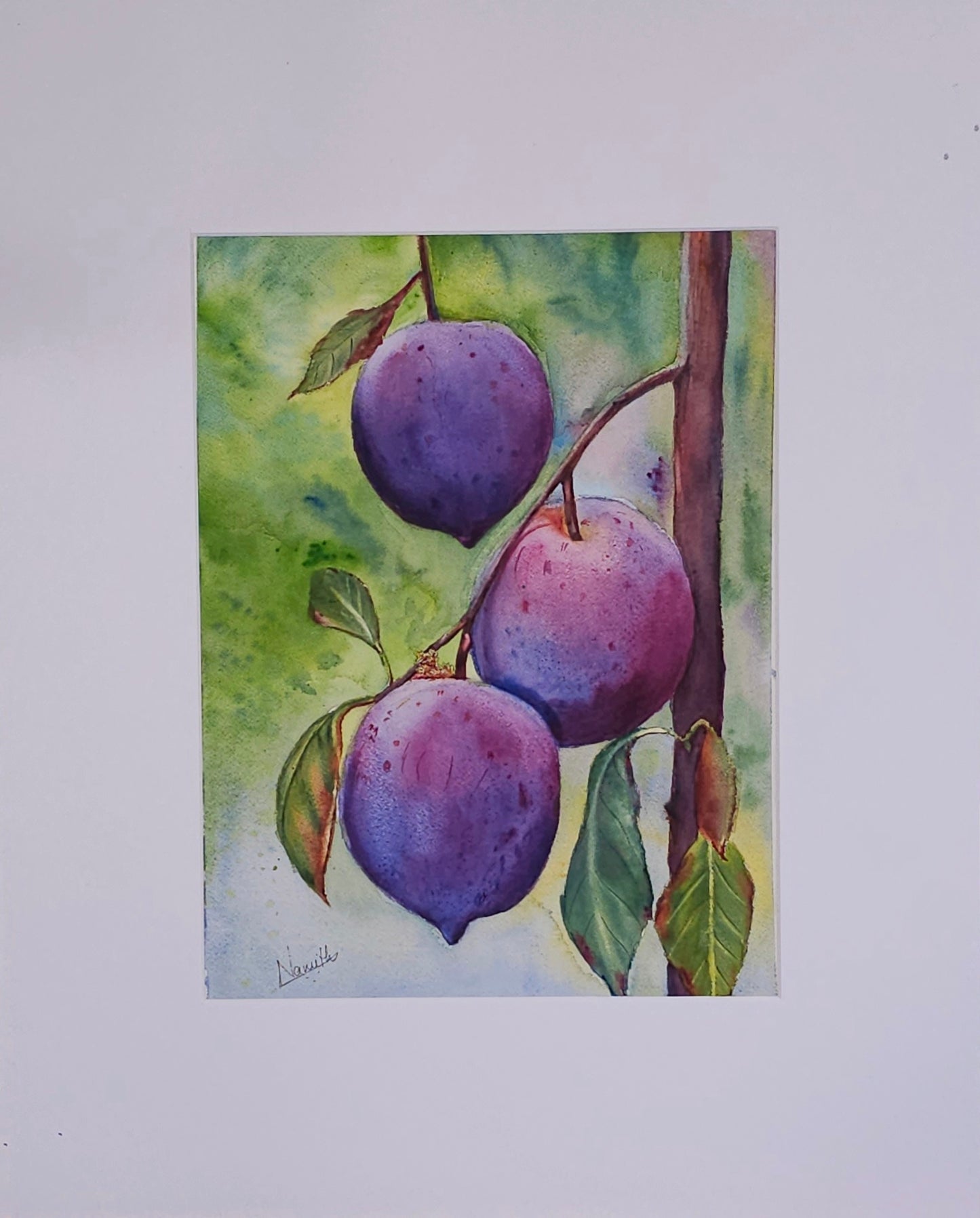 plum  Harvest - original watercolor fruit painting