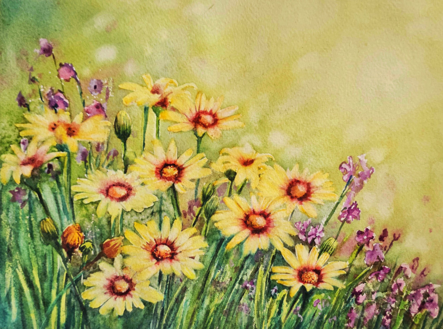 Golden Daisy Meadow - Original Watercolor Painting