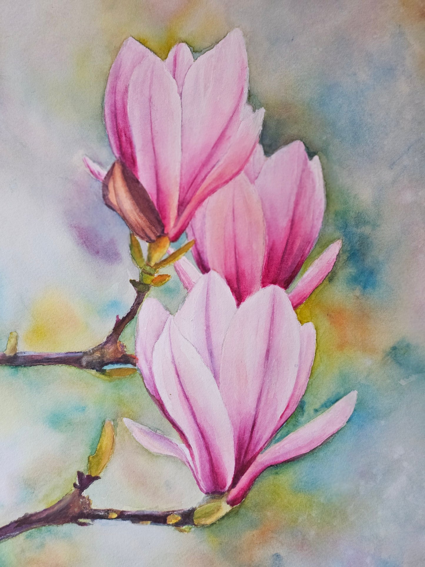 Magnolia in Bloom – Original Watercolor Painting