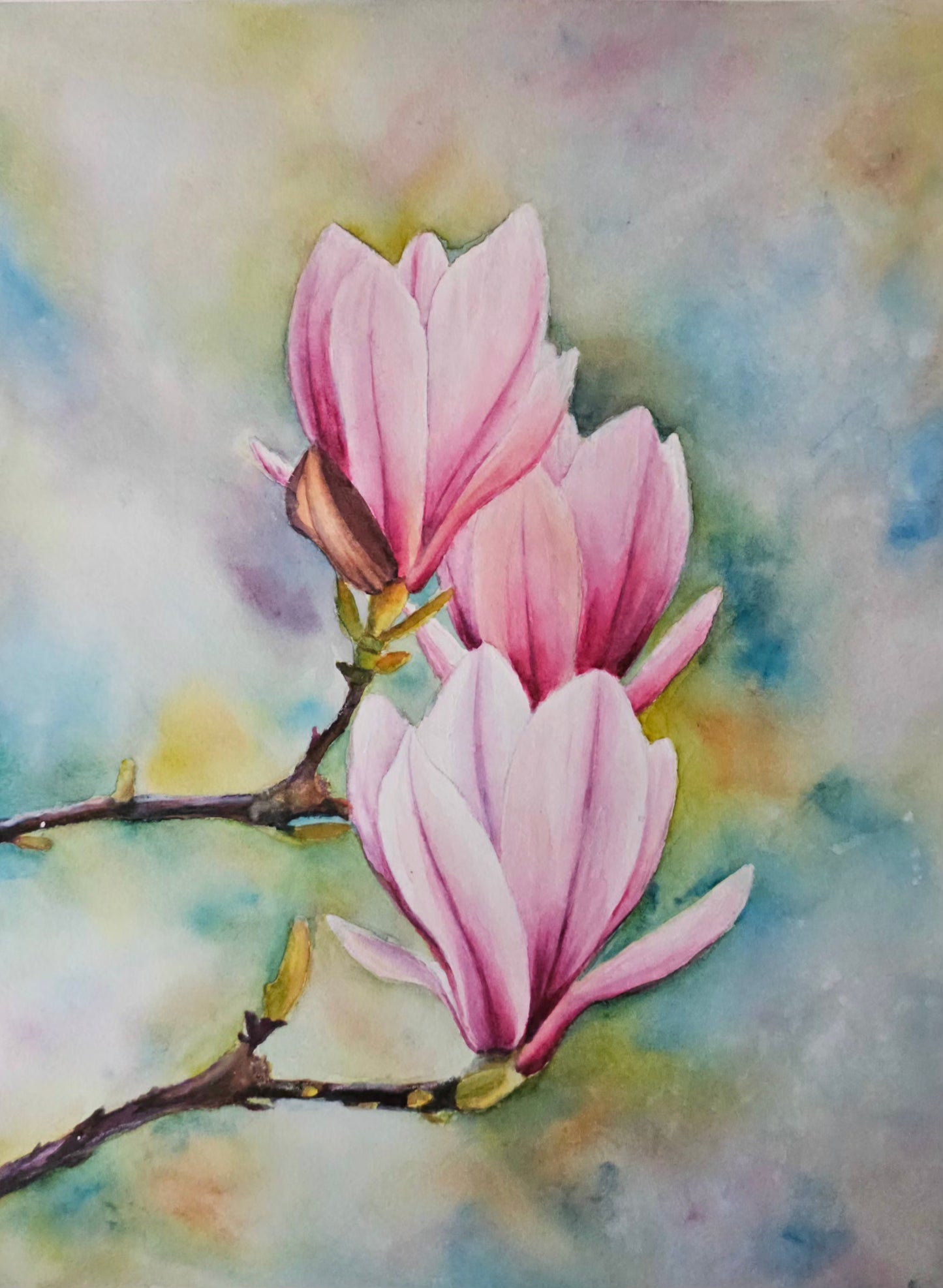 Magnolia in Bloom – Original Watercolor Painting